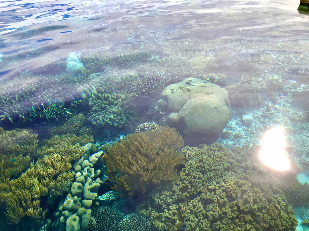 Tabari Dive Lodge