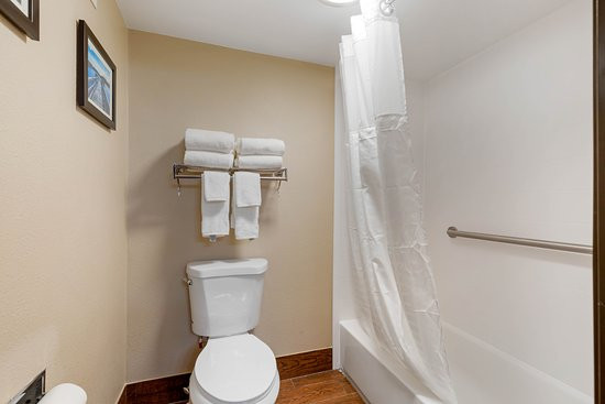 Comfort Inn & Suites主图