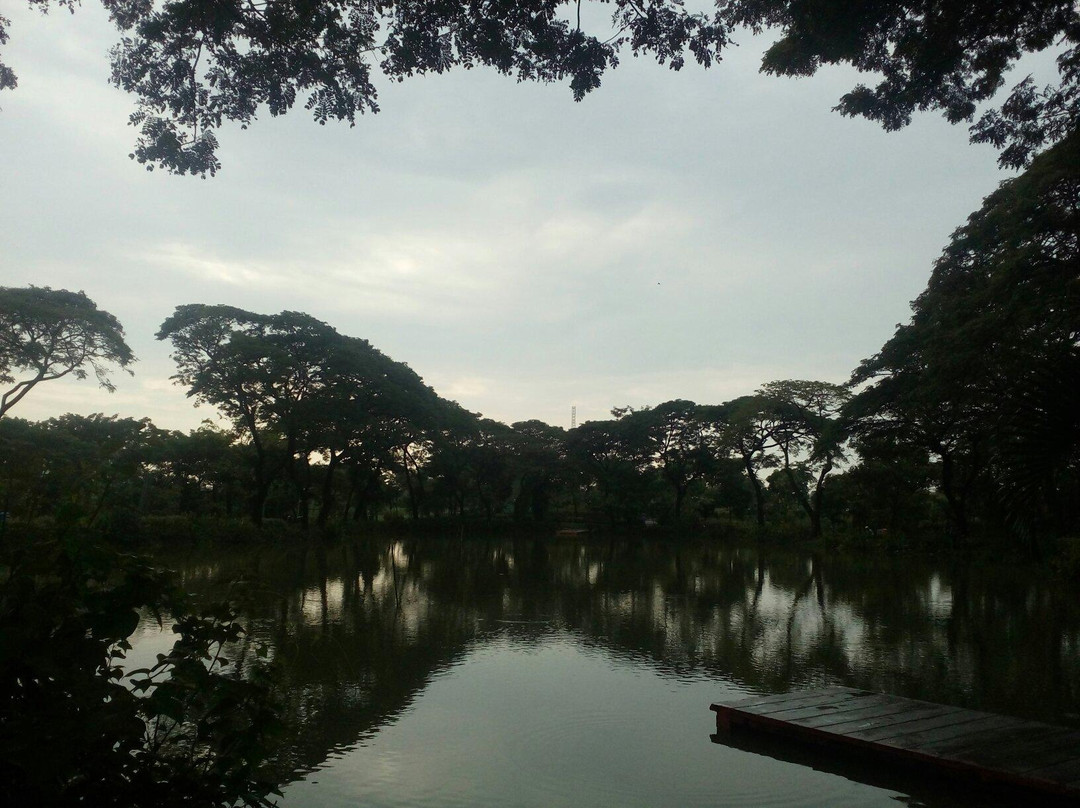 Rungkut Menanggal旅游景点-Wonorejo Nursery