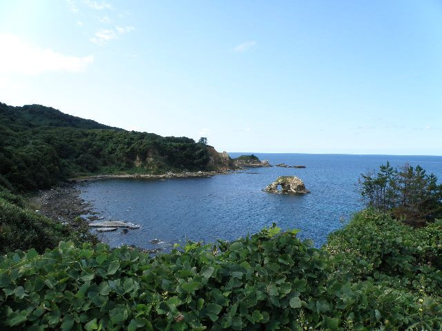 Sekinohana景点图片