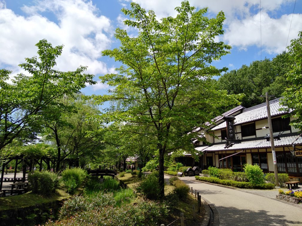 Gifu Seiryu Satoyama Park景点图片