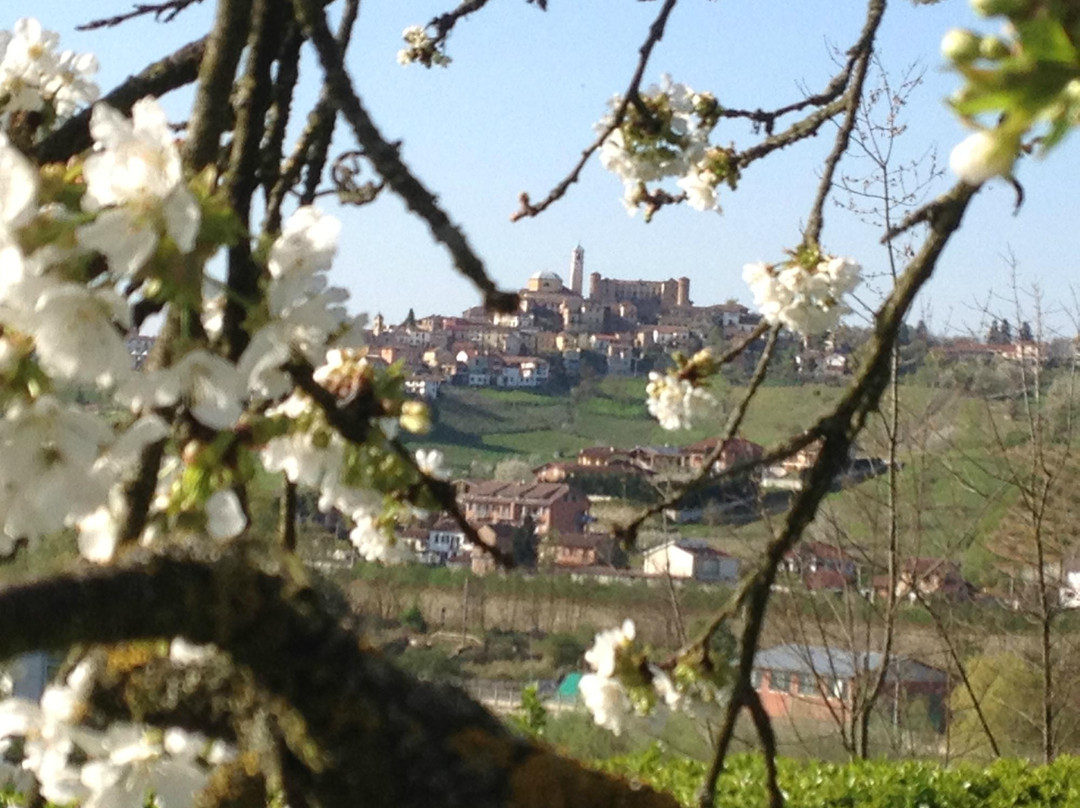 Montegrosso d'Asti旅游攻略图片