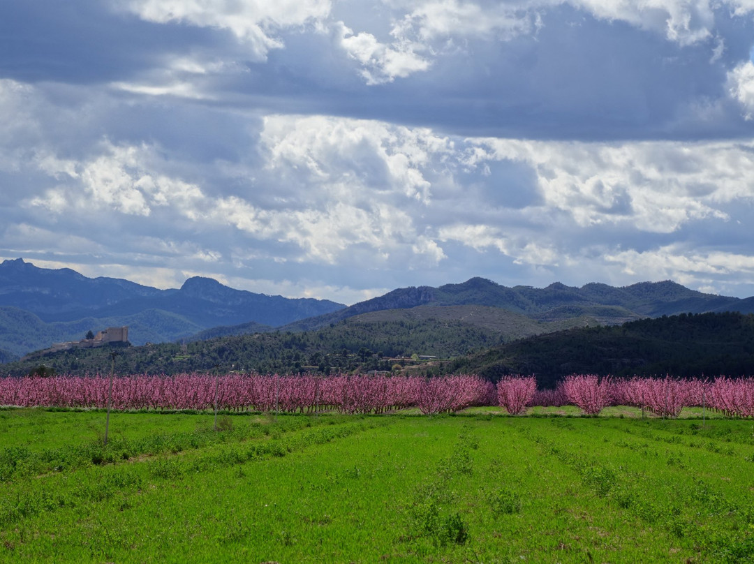 Benissanet旅游攻略图片