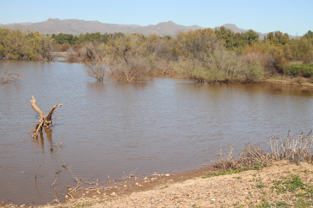 El Rio Preserve-马拉纳必去景点