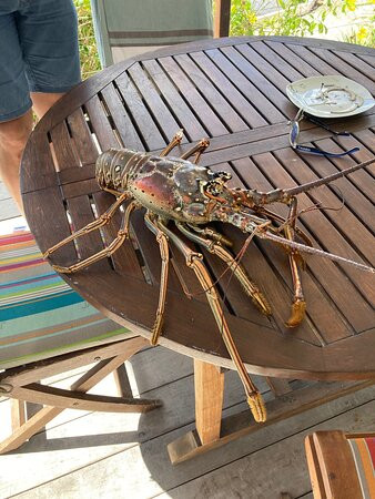 Les Balcons D'oyster Pond主图