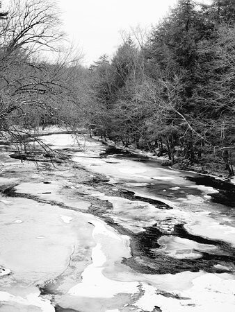 Dells of the Eau Claire Park景点图片