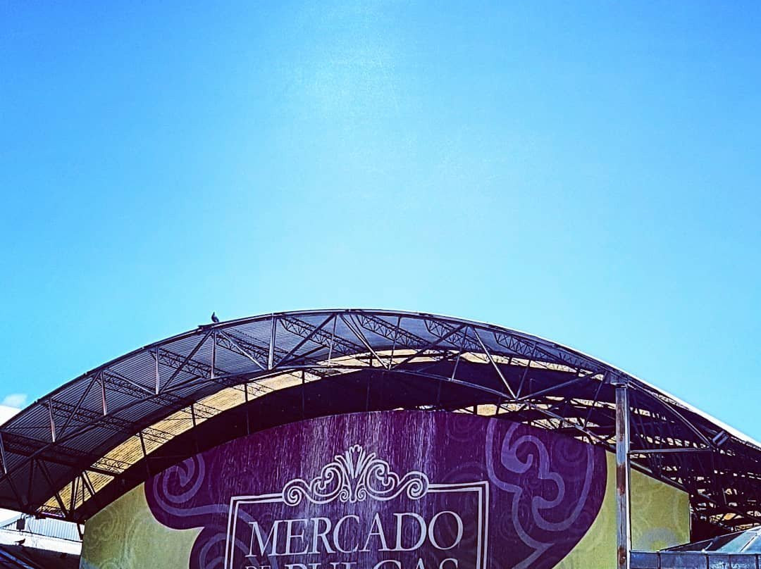 Flea Market Mercado de Pulgas-布宜诺斯艾利斯必去景点