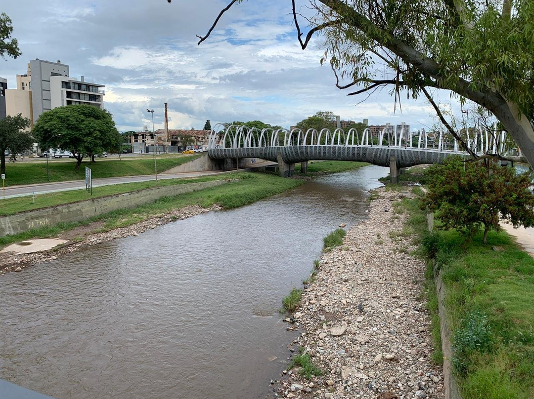 Puente del Bicentenario景点图片