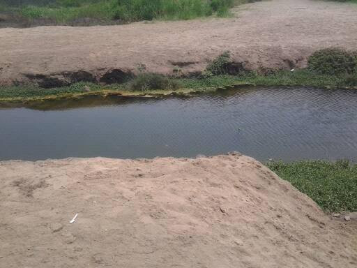 Wetlands of Ventanilla-Callao必去景点