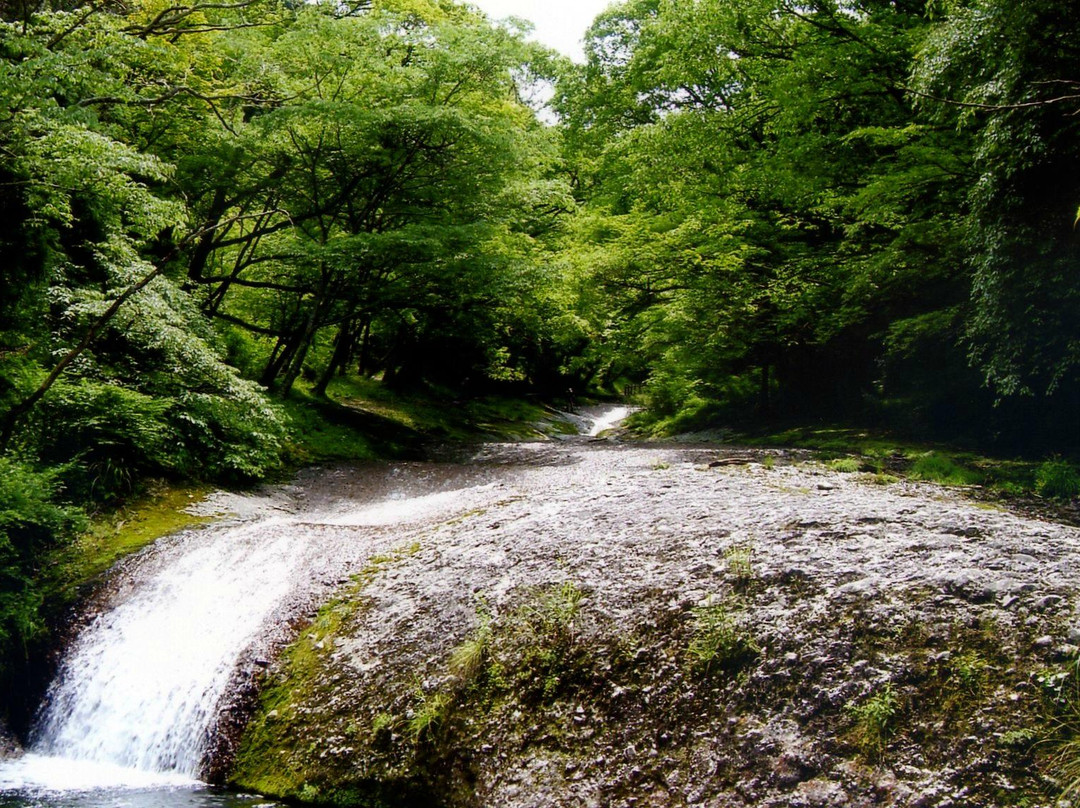 东温市旅游景点-Namekawakeikoku