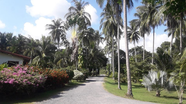 Magic Alambic Rum Distillery-Na Mueang必去景点