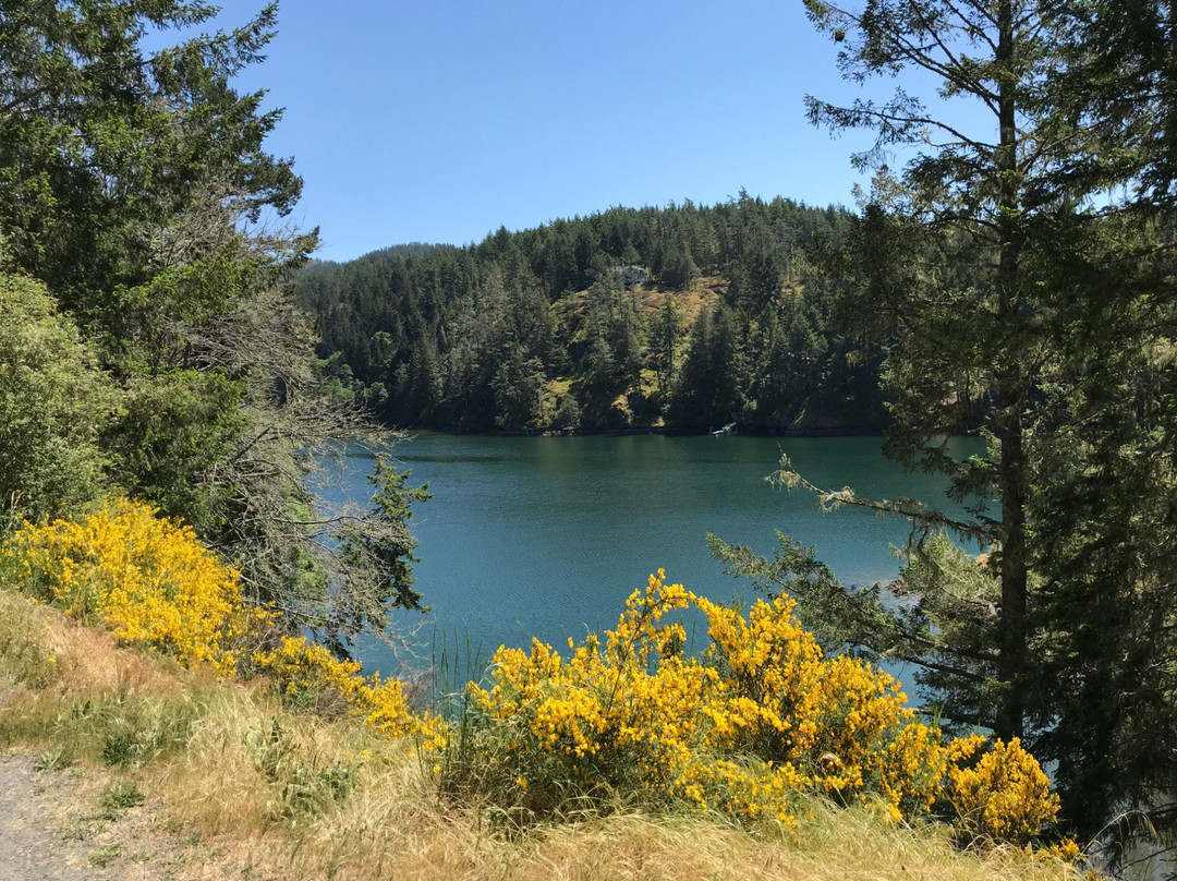 Matheson Lake Regional Park景点图片