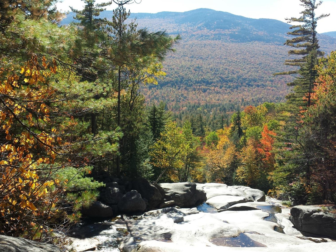 Step Falls Preserve Hiking Trail景点图片