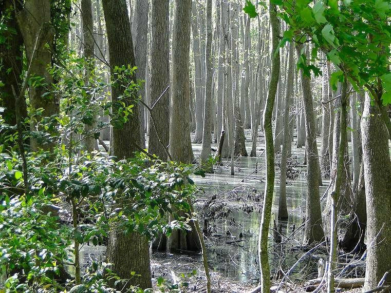 Suffolk旅游攻略图片