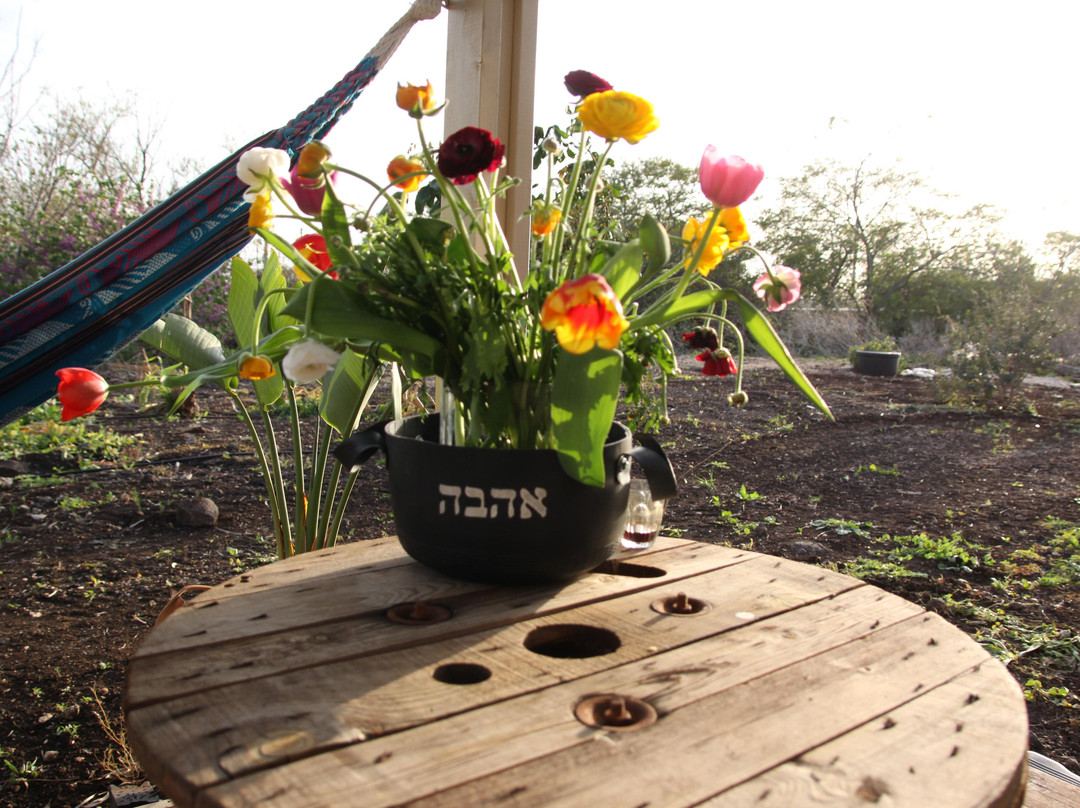 Almagor旅游攻略图片