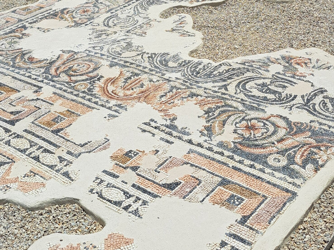 Archaeological Collection Of Sami