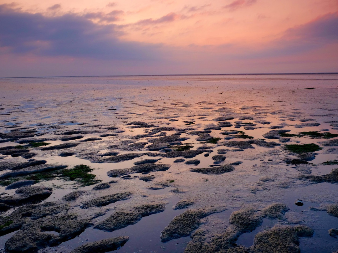 Moddergat旅游攻略图片