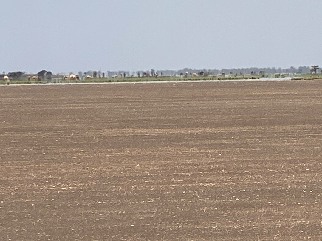 North Horr旅游攻略图片