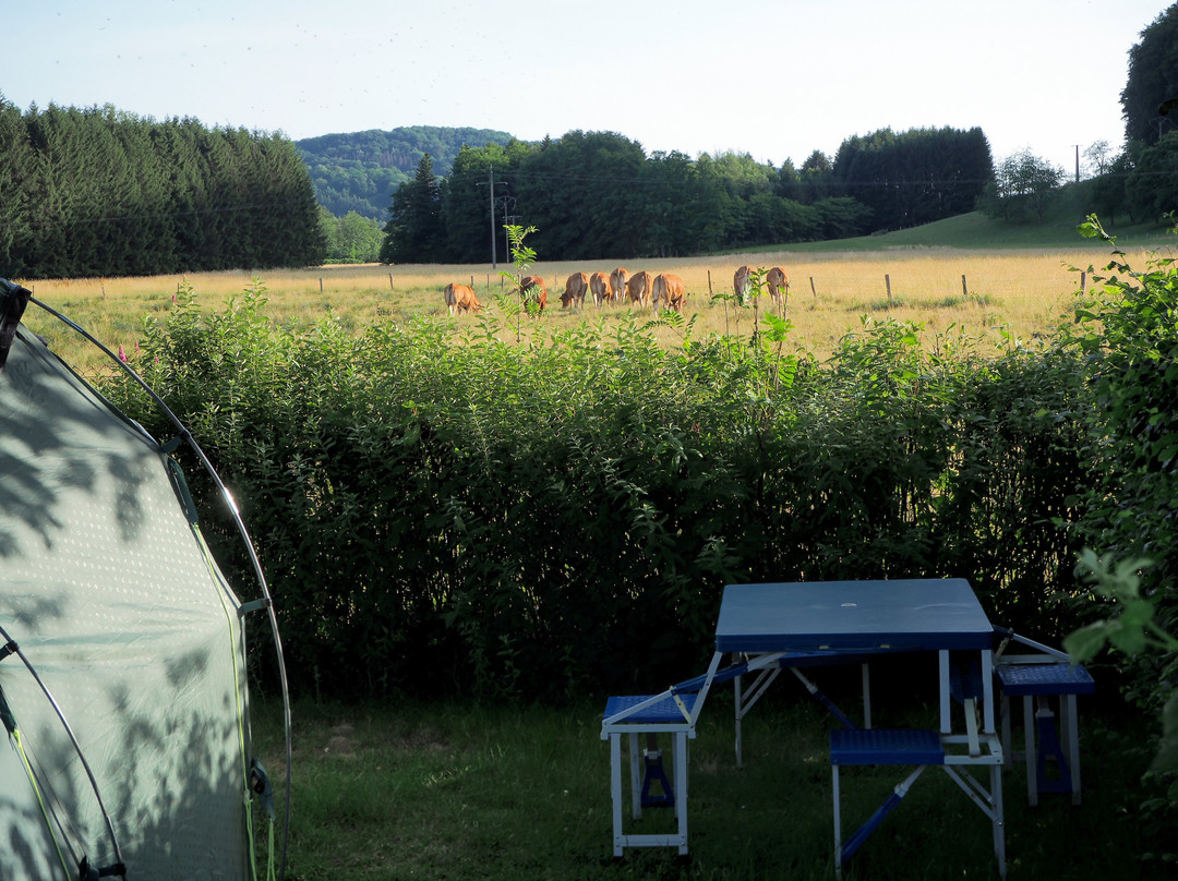 Onlycamp L'orée des Vosges