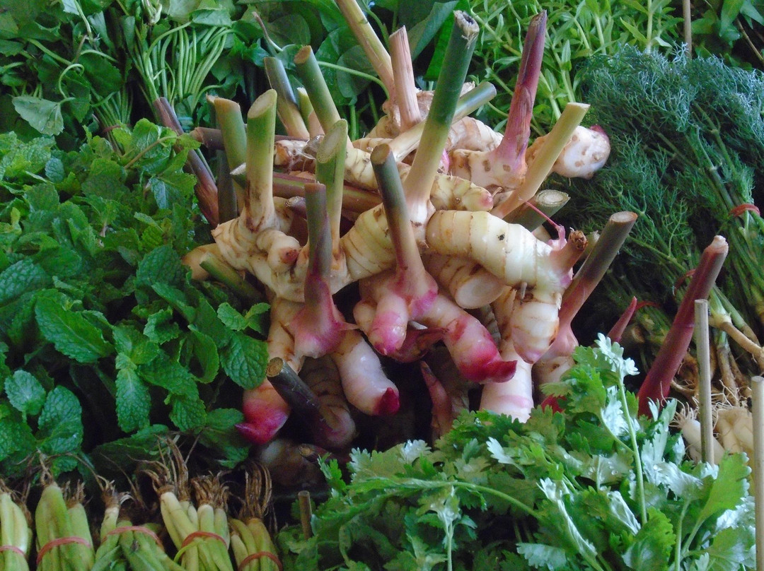 空銮旅游景点-Talad Thai