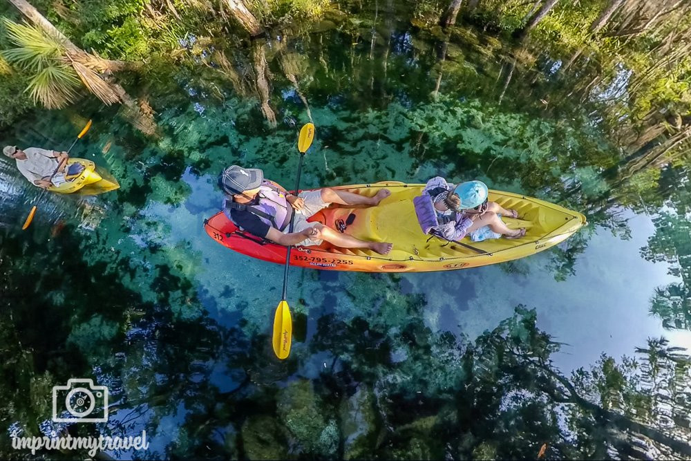 Crystal River Kayak Company-克里斯特尔里弗必去景点