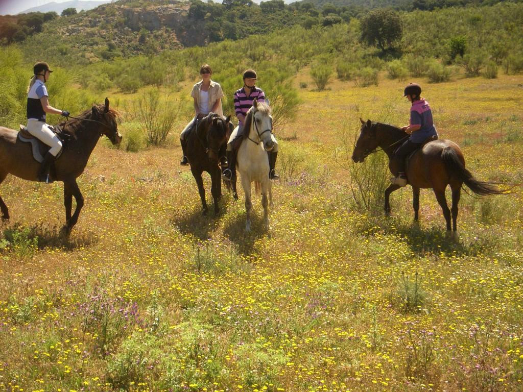 Europe Equitation Horse riding-桑路卡拉马尤必去景点