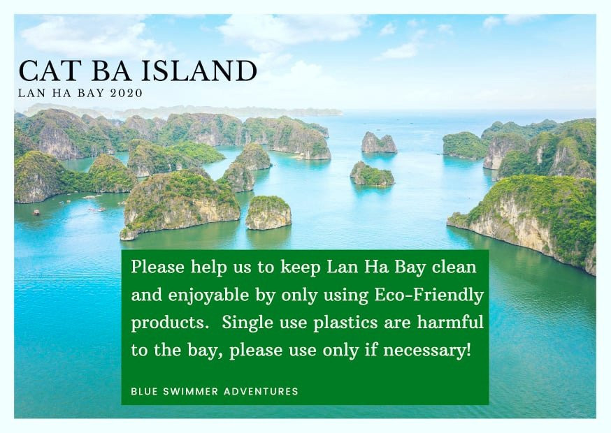 Blue Swimmer Adventures-卡巴必去景点