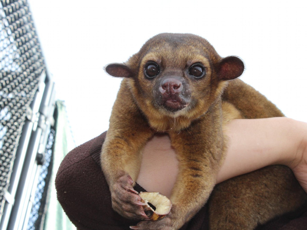 Bonsall旅游景点-Wild Wonders, Inc.