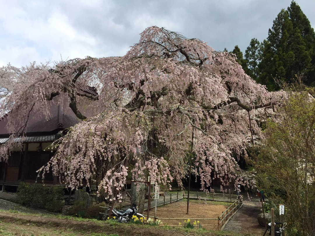 Saikoji - Or Seikoji Temple景点图片
