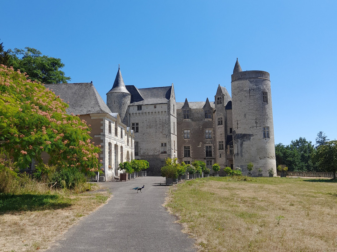 Château de Montsabert景点图片