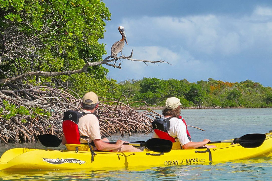 Mawella Lagoon Kayak Tour景点图片