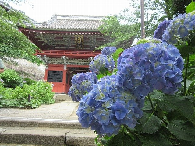 Amabiki Kannon