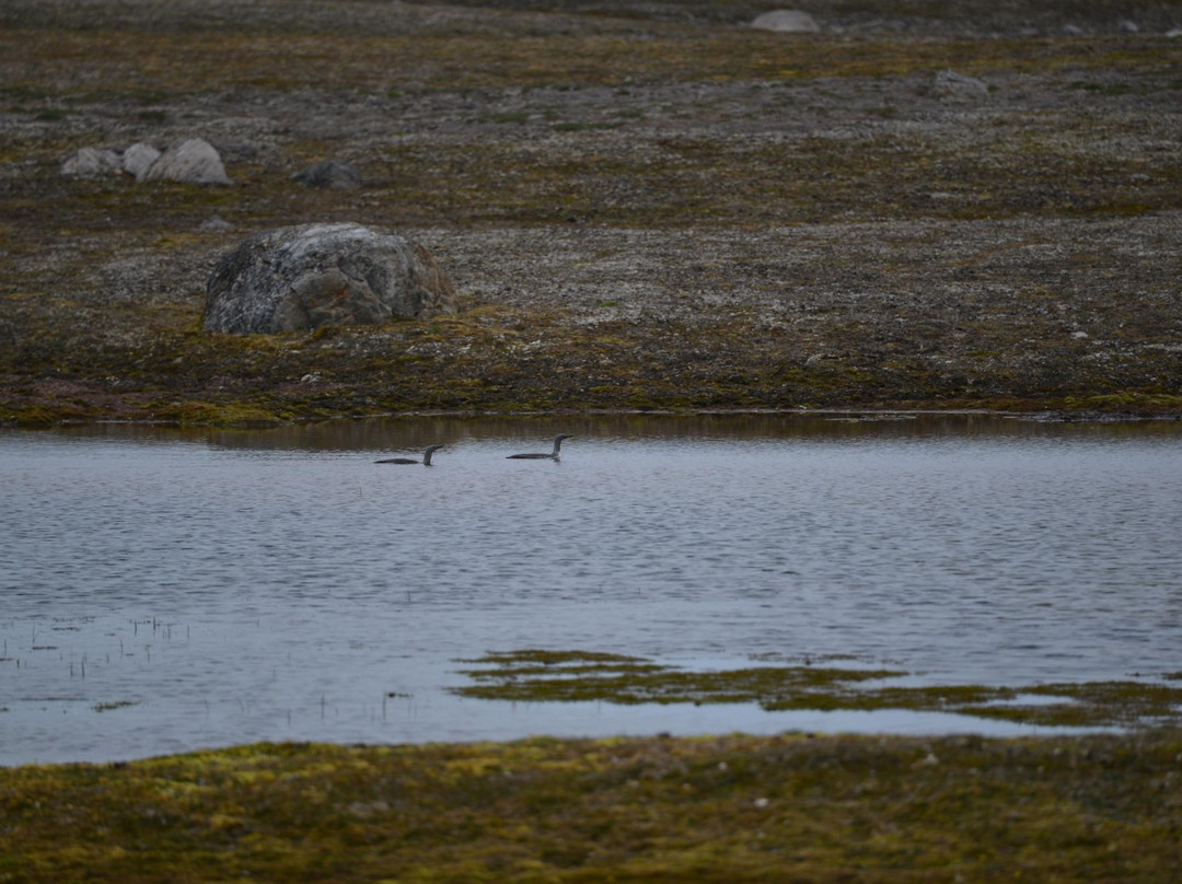 Strandsjo Bird Reserve景点图片