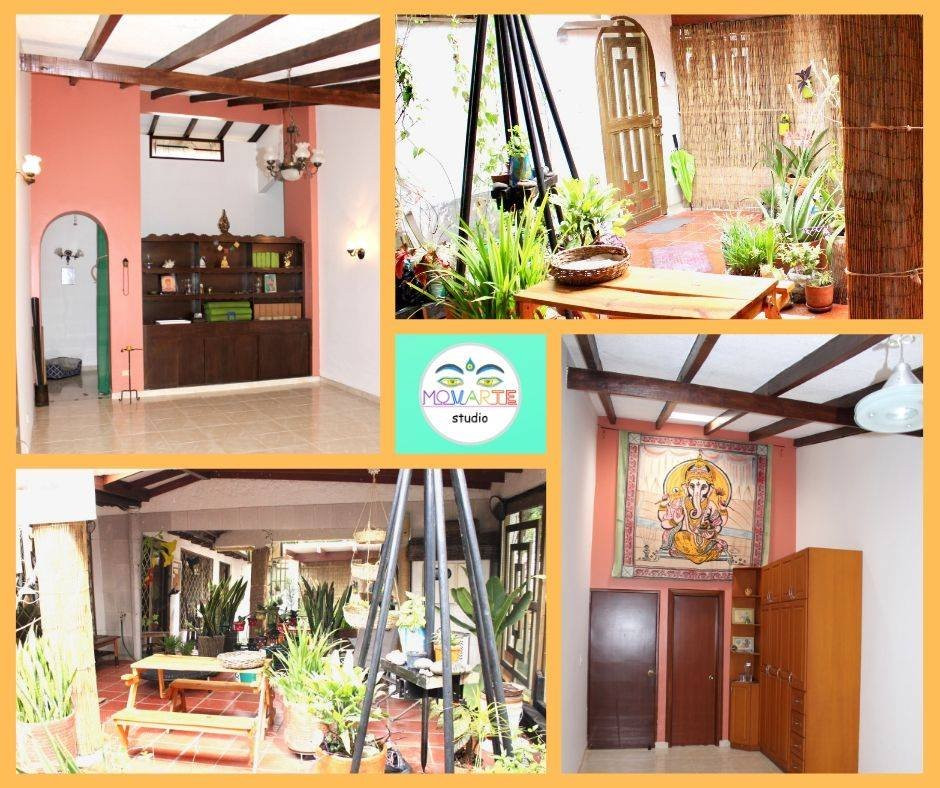 Felidia旅游景点-Movarte Studio