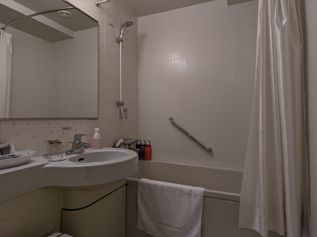 札幌站前理奇蒙德酒店主图