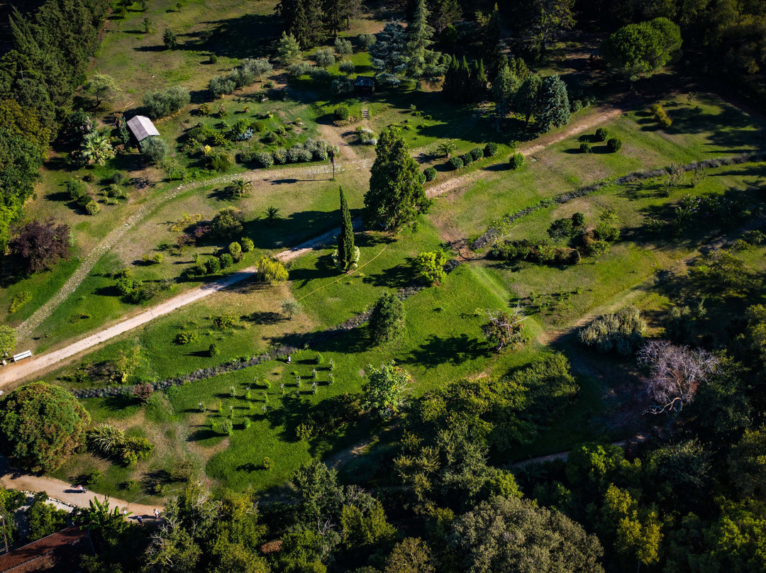 The Mediterranean Garden