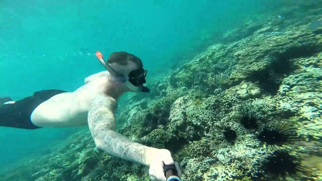 Snorkelling Zanzibar Tours Company Limited-石头城必去景点