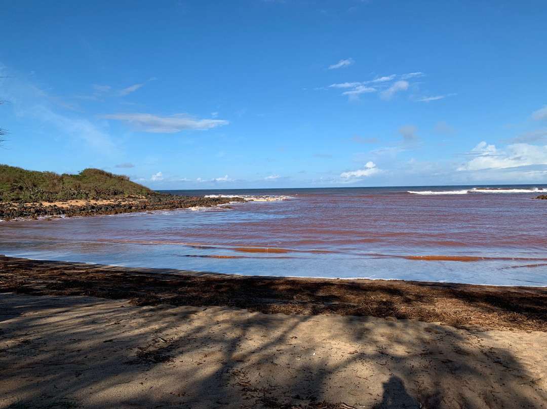 Dixie Maru Beach (Kapukahehu)-摩洛凯岛必去景点