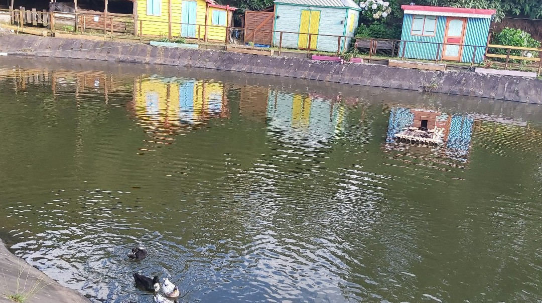Parc de la Luge-圣保罗必去景点