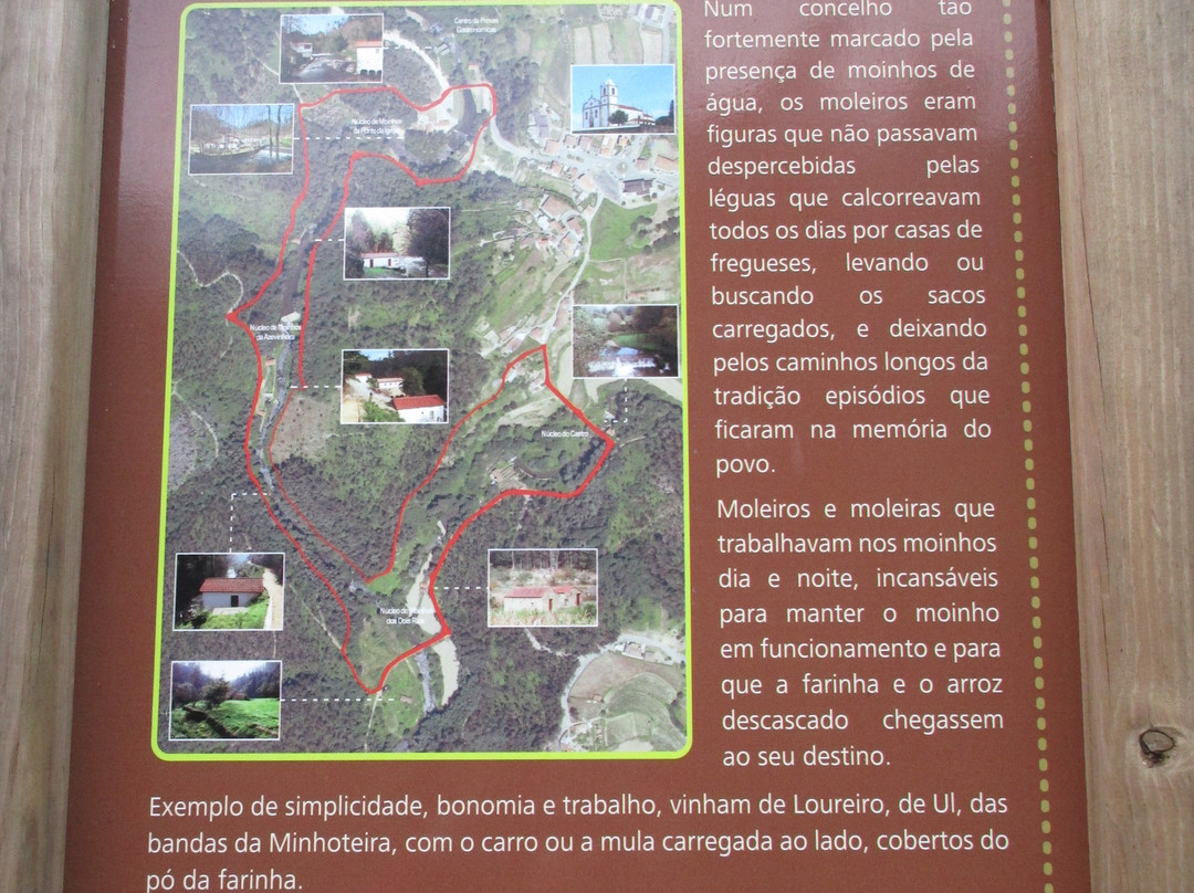 Parque Tematico Molinologico景点图片