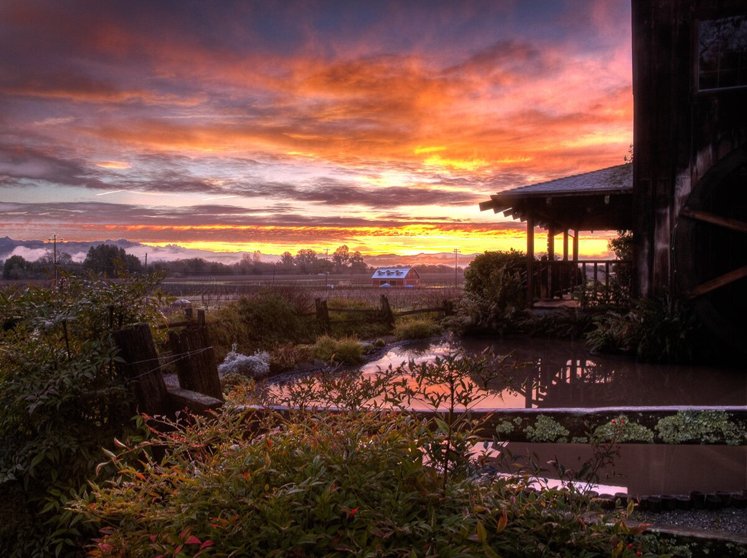 Mill Creek Vineyards and Winery景点图片