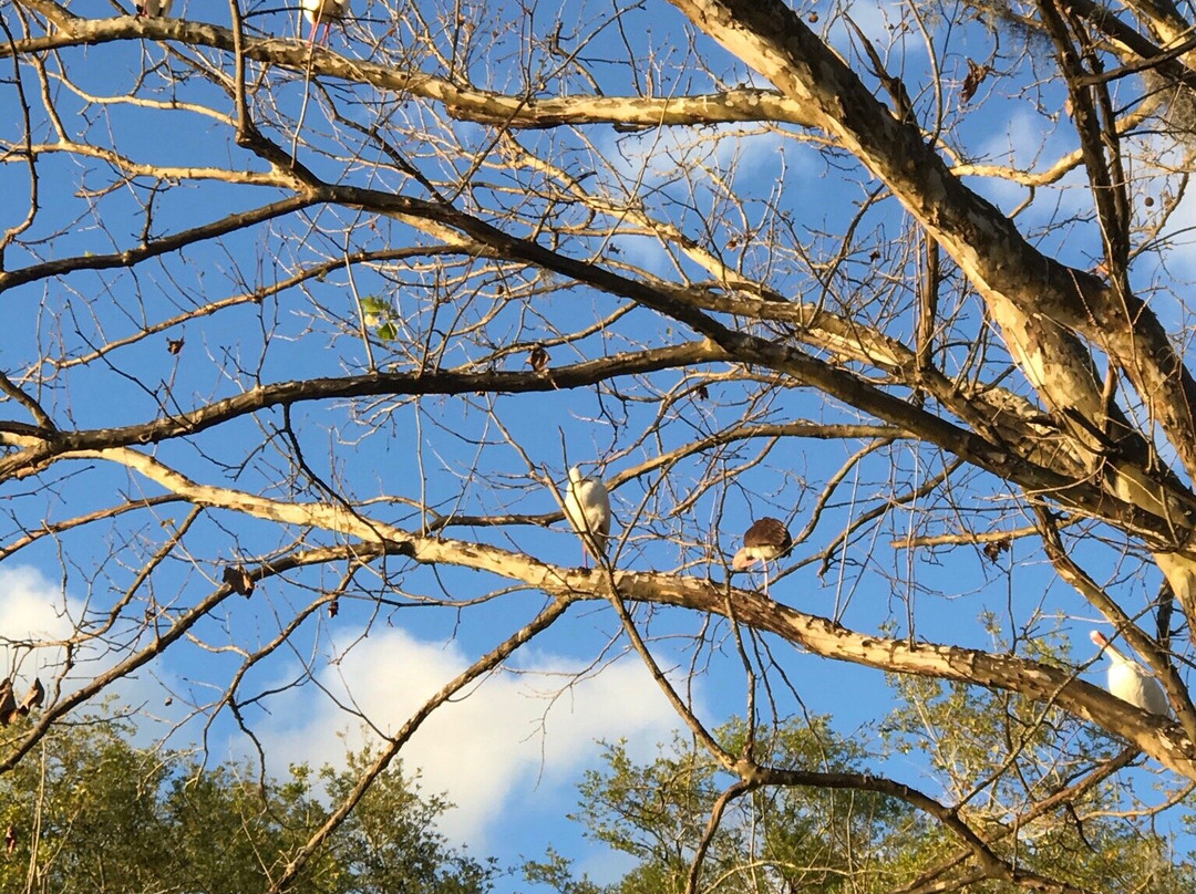 Lighthouse Park-Mount Dora必去景点