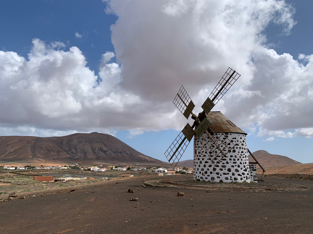 Molinos de Villaverde景点图片