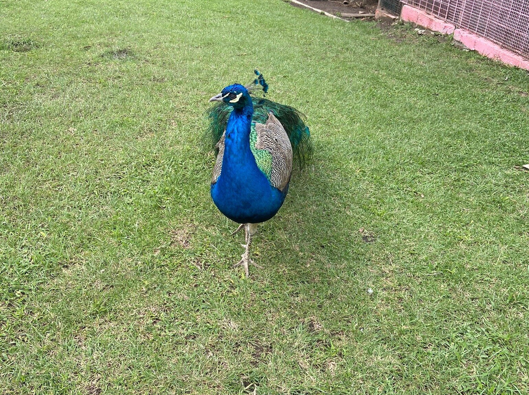 El Jardin Alado-Tumbaco必去景点