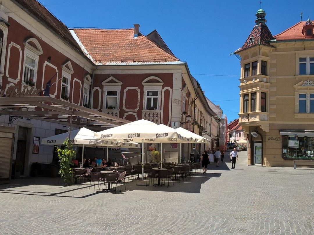 Stride & Seek Mini Adventures-普图伊必去景点