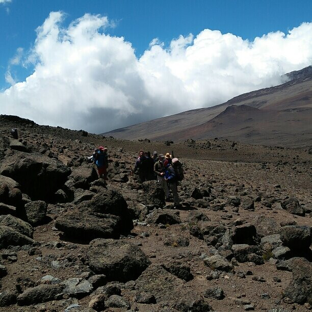 Mount Kilimanjaro景点图片
