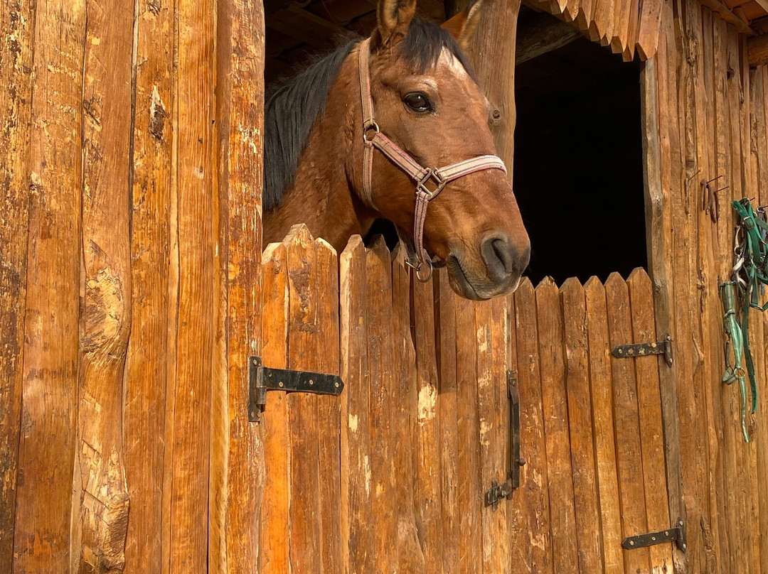 El Xalet de Prades主图