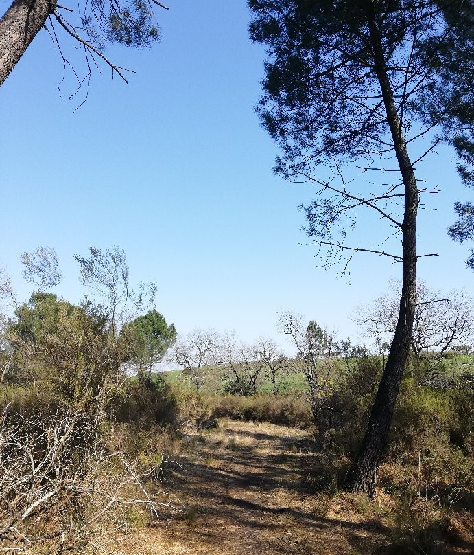 Ecosite du Bourgailh景点图片