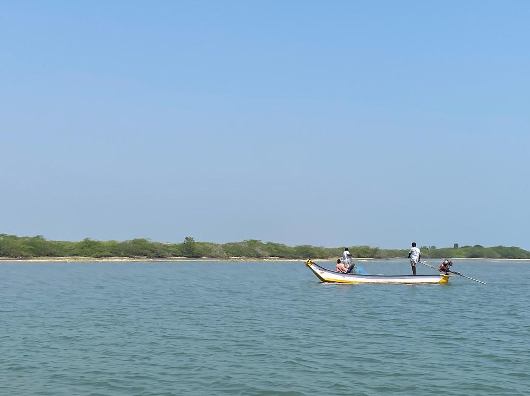 Pulicat Boating - Roy Pulicat Lake Boating景点图片