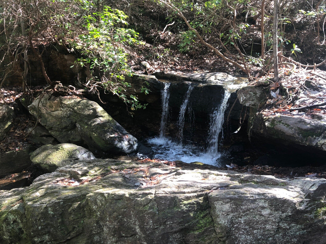 Pine Mountain Trail-Pine Mountain必去景点